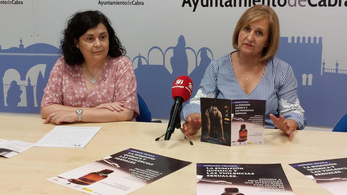 Presentación de la jornada técnica sobre violencia de género de Cabra.