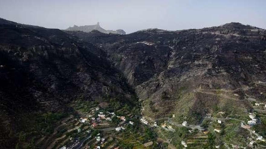 Cumbres calcinadas por el incendio en Gran Canaria.