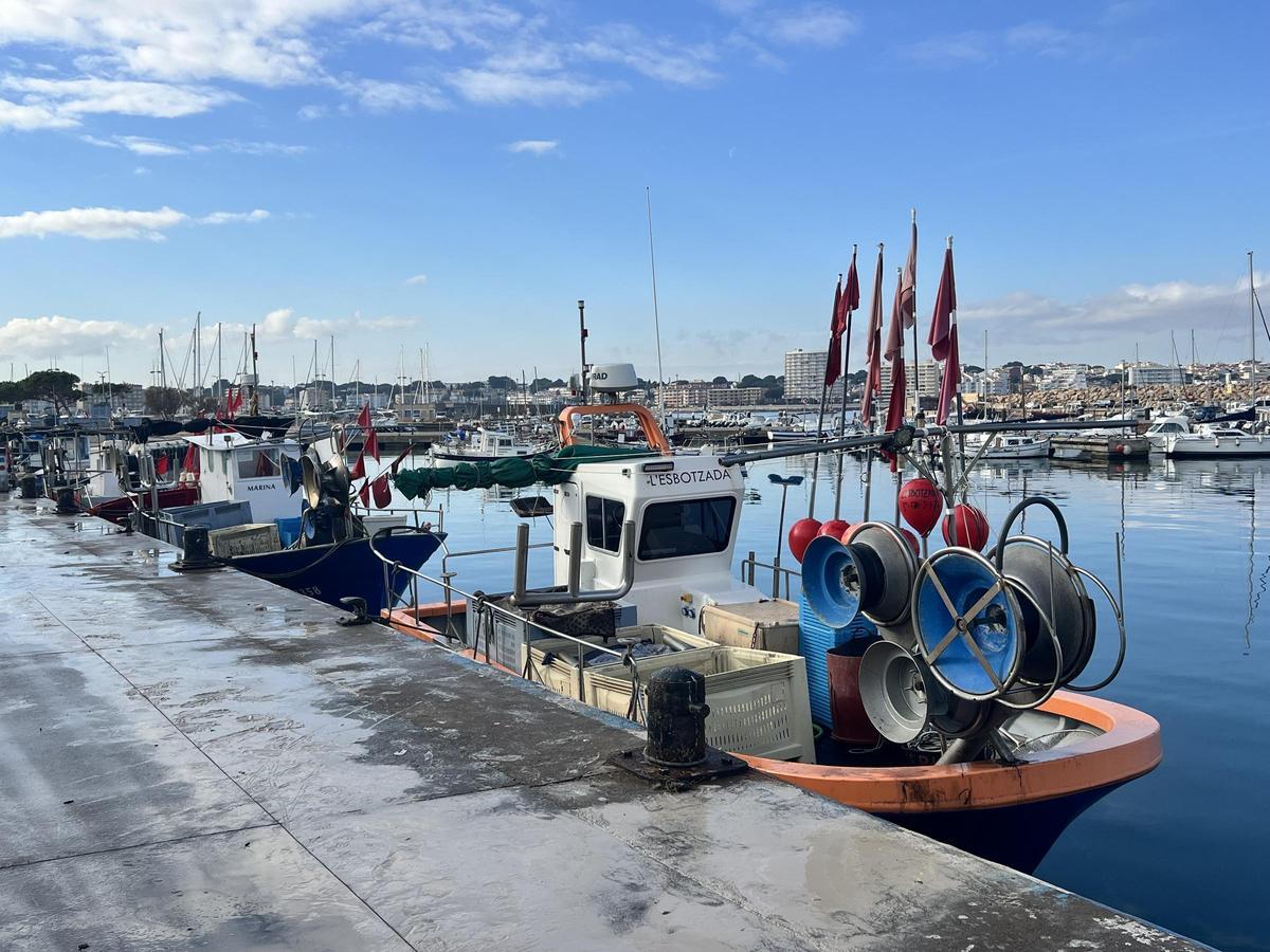 Embarcacions de pesca aturades al port de l'Escala.