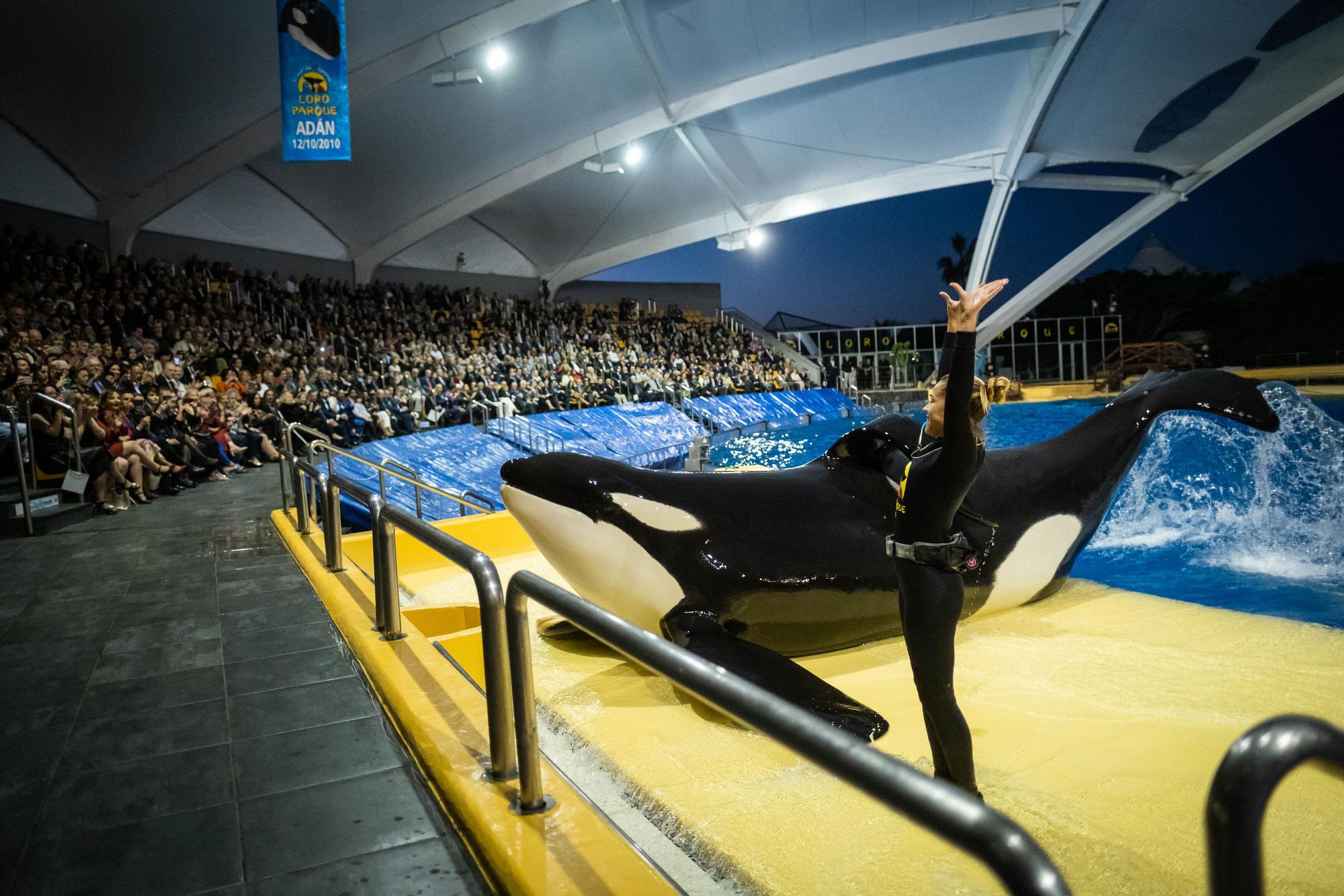 50 aniversario de Loro Parque