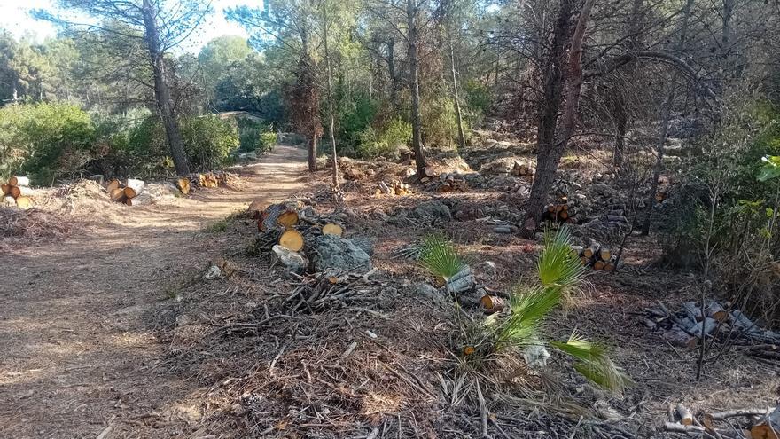 Villalonga protege del fuego la Llacuna y el Tossal de l’Ermita