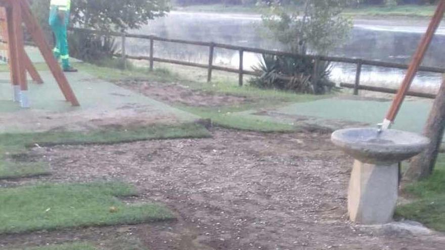 Un técnico supervisando los daños en el parque de Caldelas. // DBM