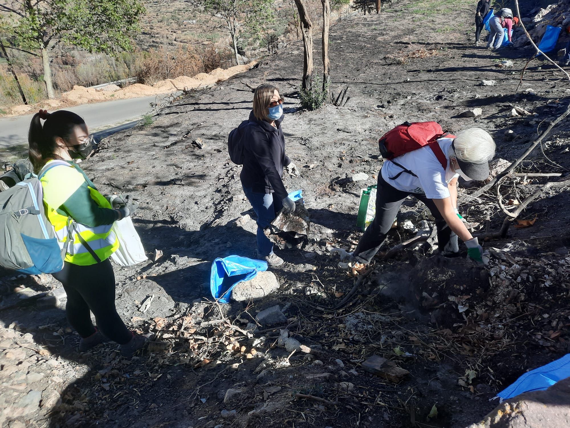 Descubre lo que han encontrado en una recogida de basura resurgida tras el gran incendio de Bejís