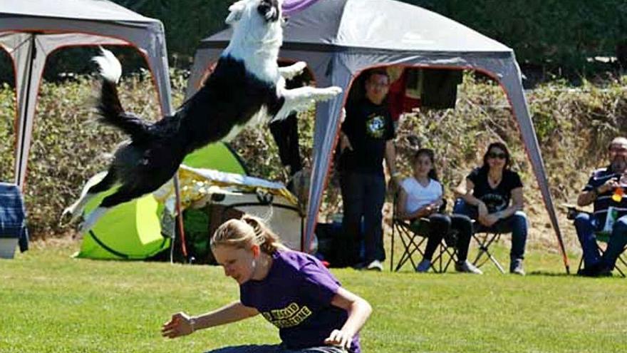 L&#039;espectacularitat del Disc Dog es podrà veure a Marganell