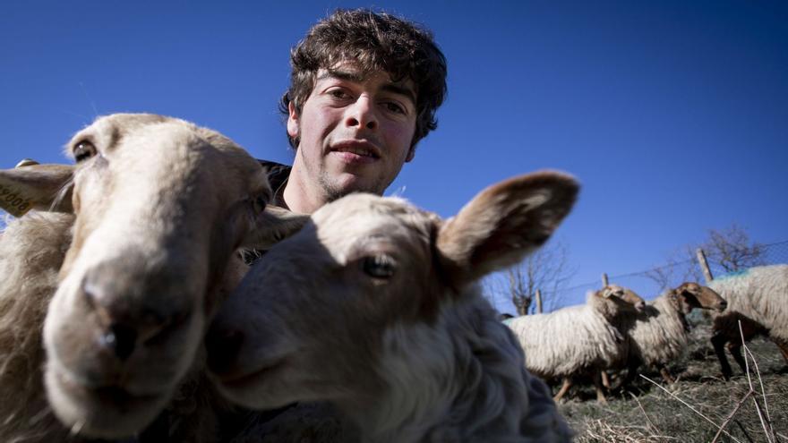 José Luis Alonso, con algunas de sus ovejas, en Gamonedo de Cangas, su pueblo. | Julián Rus