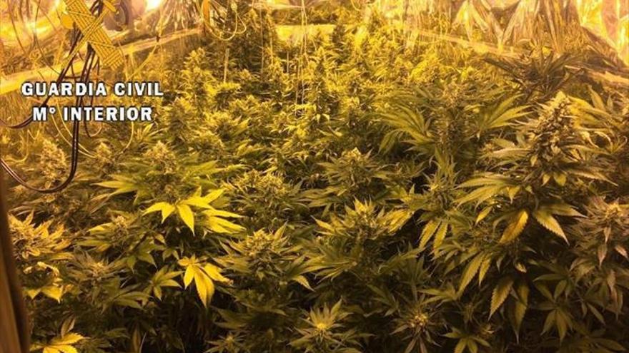 La Guardia Civil desmantela 2 plantaciones de marihuana