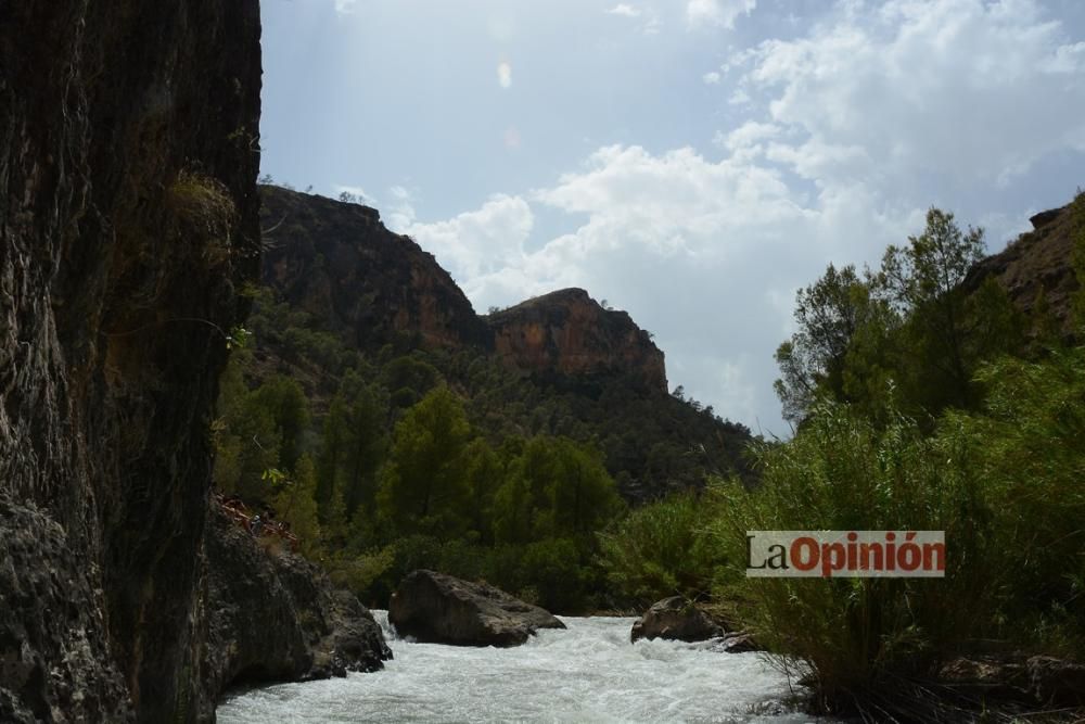 Descenso del Cañón de Almadenes Cieza 2016