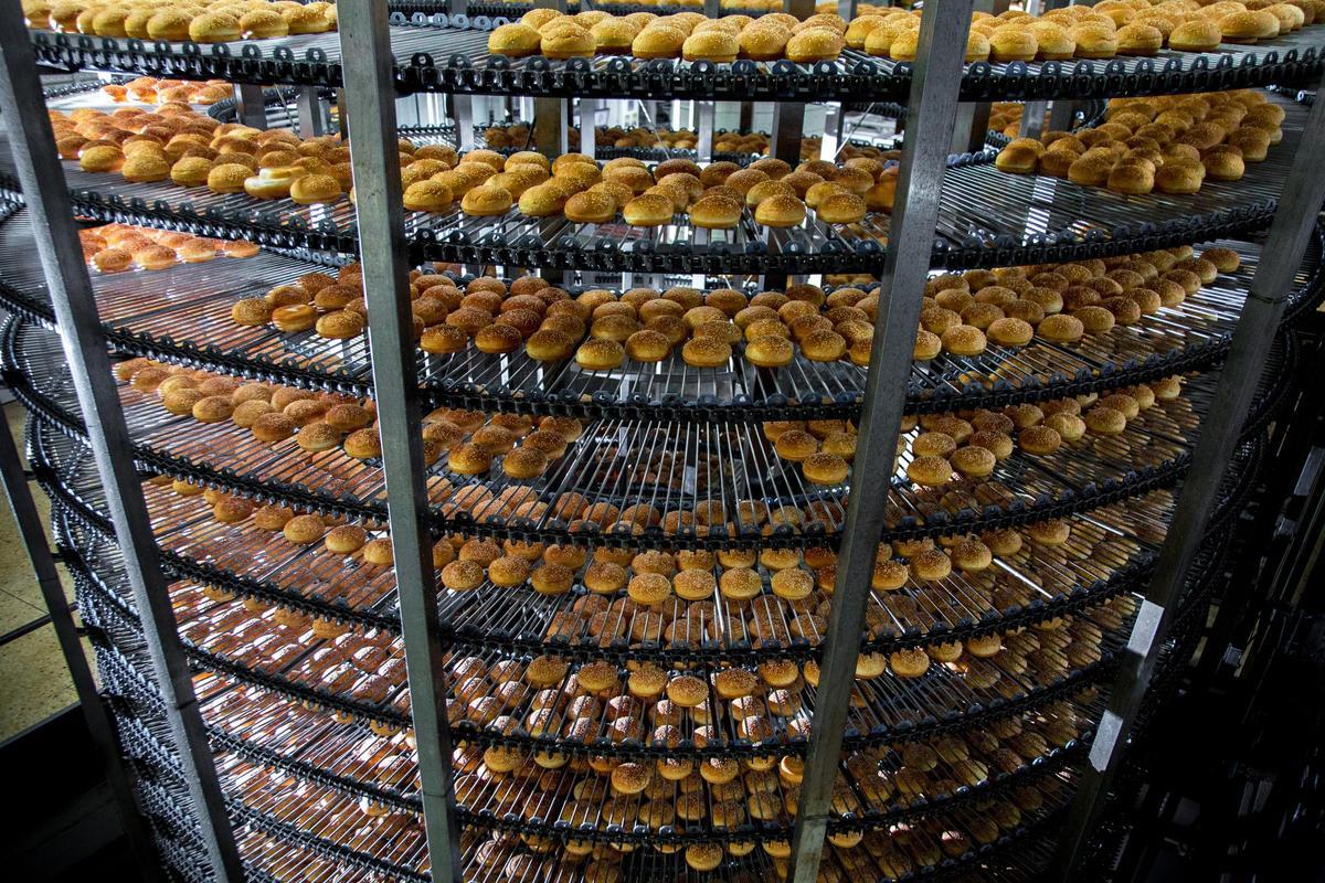 El grupo de alimentación prevé producir más de 85.000 toneladas durante 2021.