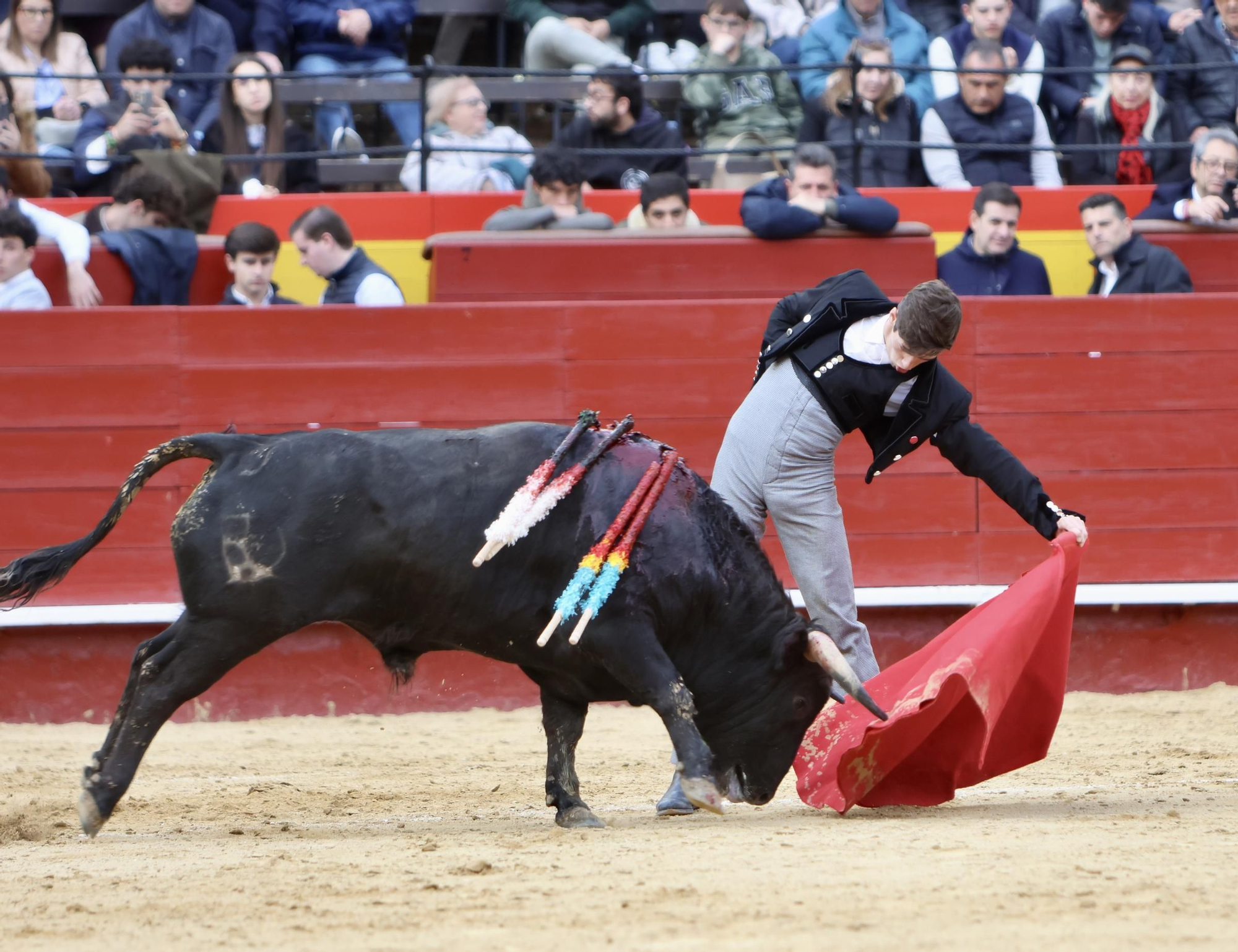 Javier Cuartero brilla en València y marca la diferencia en el cierre del ciclo de novilleros de la Feria de Fallas