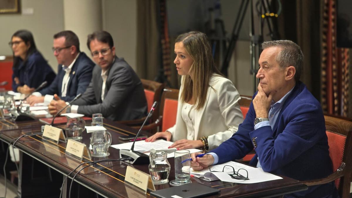 Miriam Perestelo en sede parlamentaria