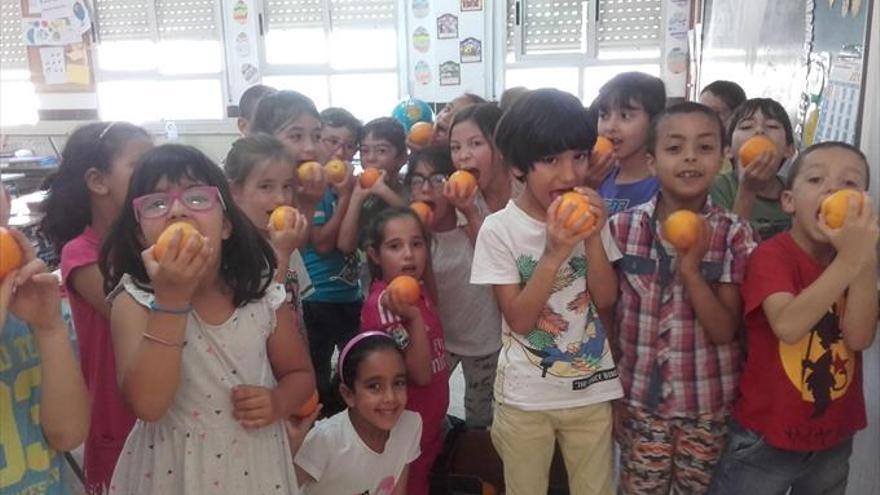 El CEIP Marqués promou  un pla per consumir fruita