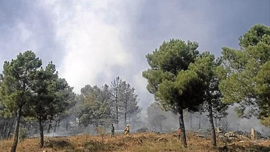 Movilización para extinguir un incendio en la sierra de la Virgen