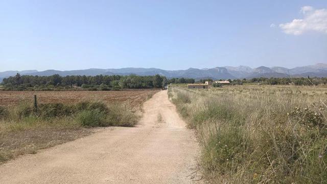 Zona donde reside Paul Verhoeven, en Camí Torrent 113. |