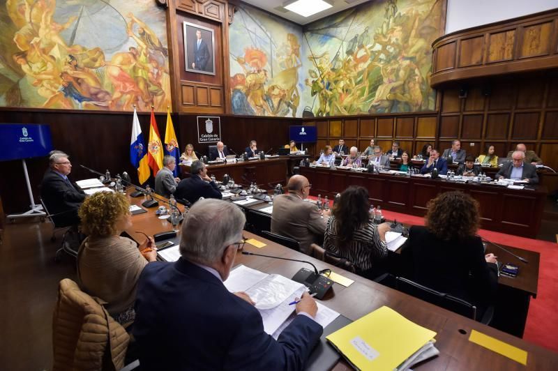 Pleno del Cabildo de Gran Canaria (29/11/19)