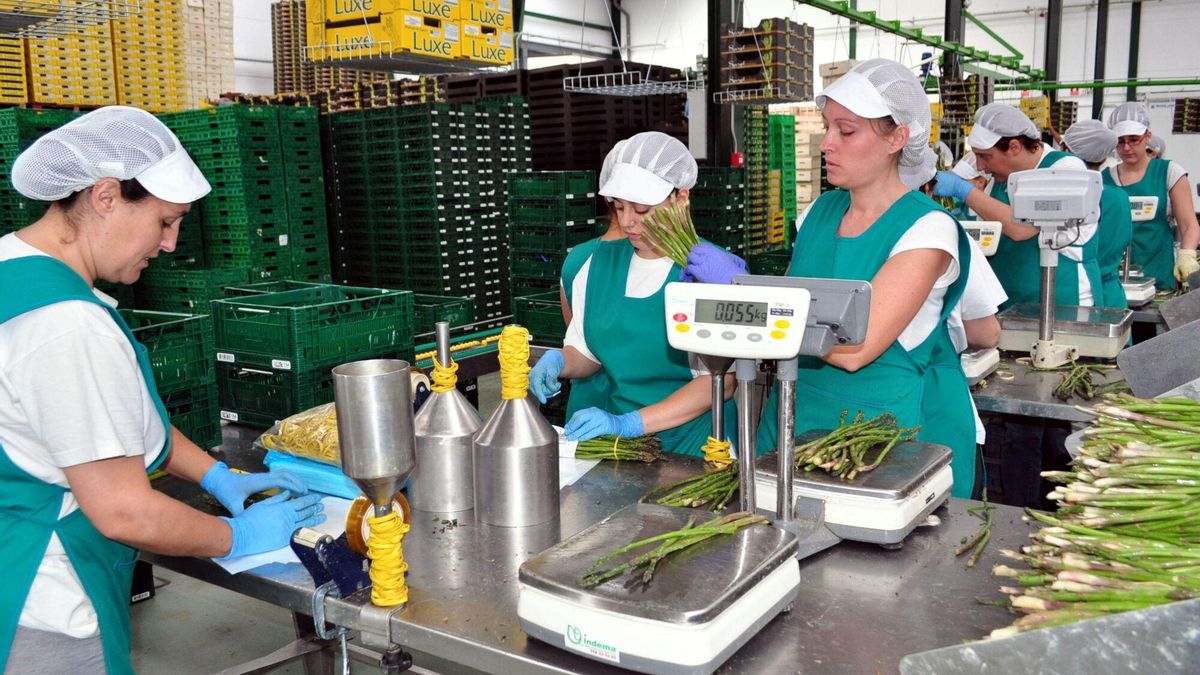 Mujeres trabajando en una cooperativa agrícola.