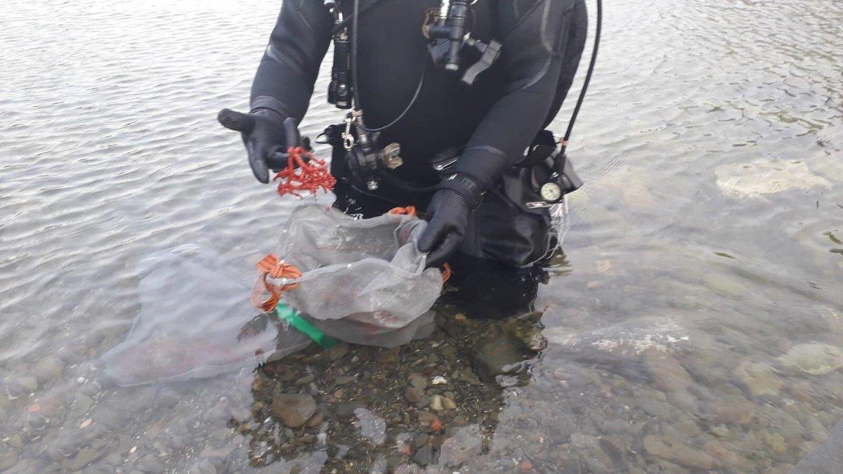 Coral decomisado a los pescadores furtivos