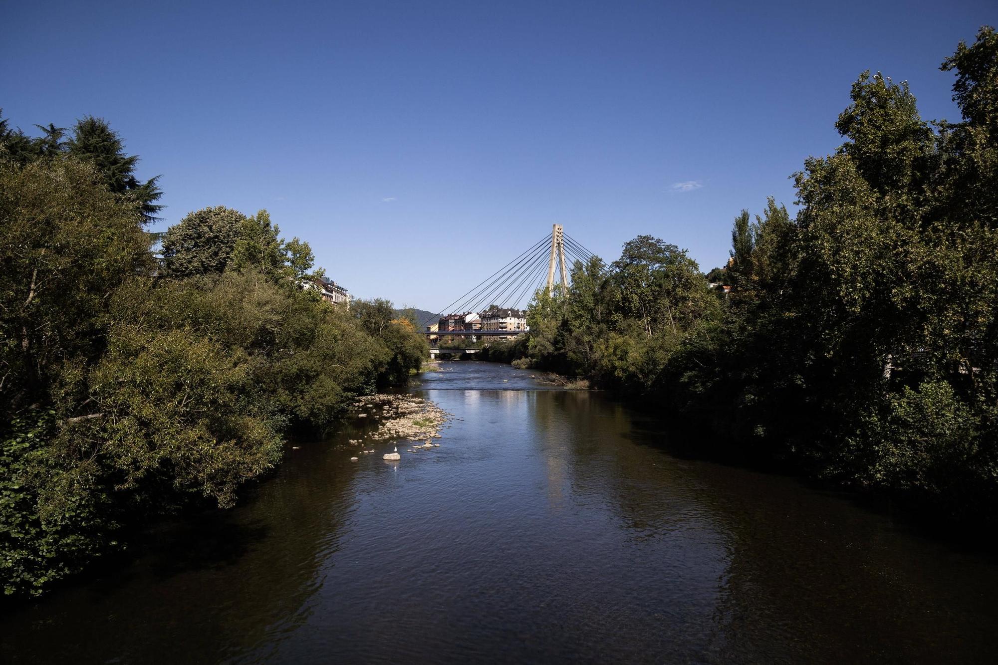 Asturianos en Langreo: un recorrido por el municipio