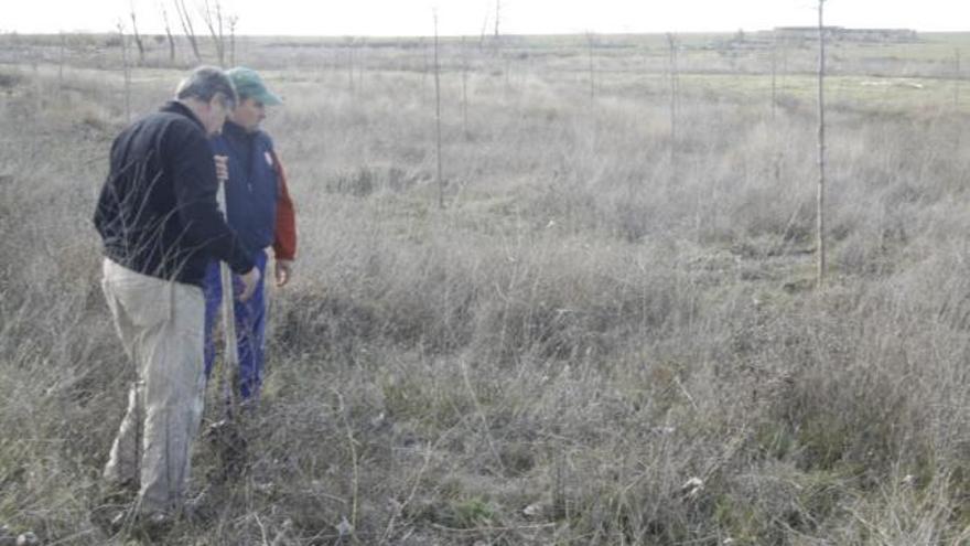 El alcalde de Manganeses de la Lampreana, Juan Carlos Bueno, muestra un plano del paraje de Junciel.