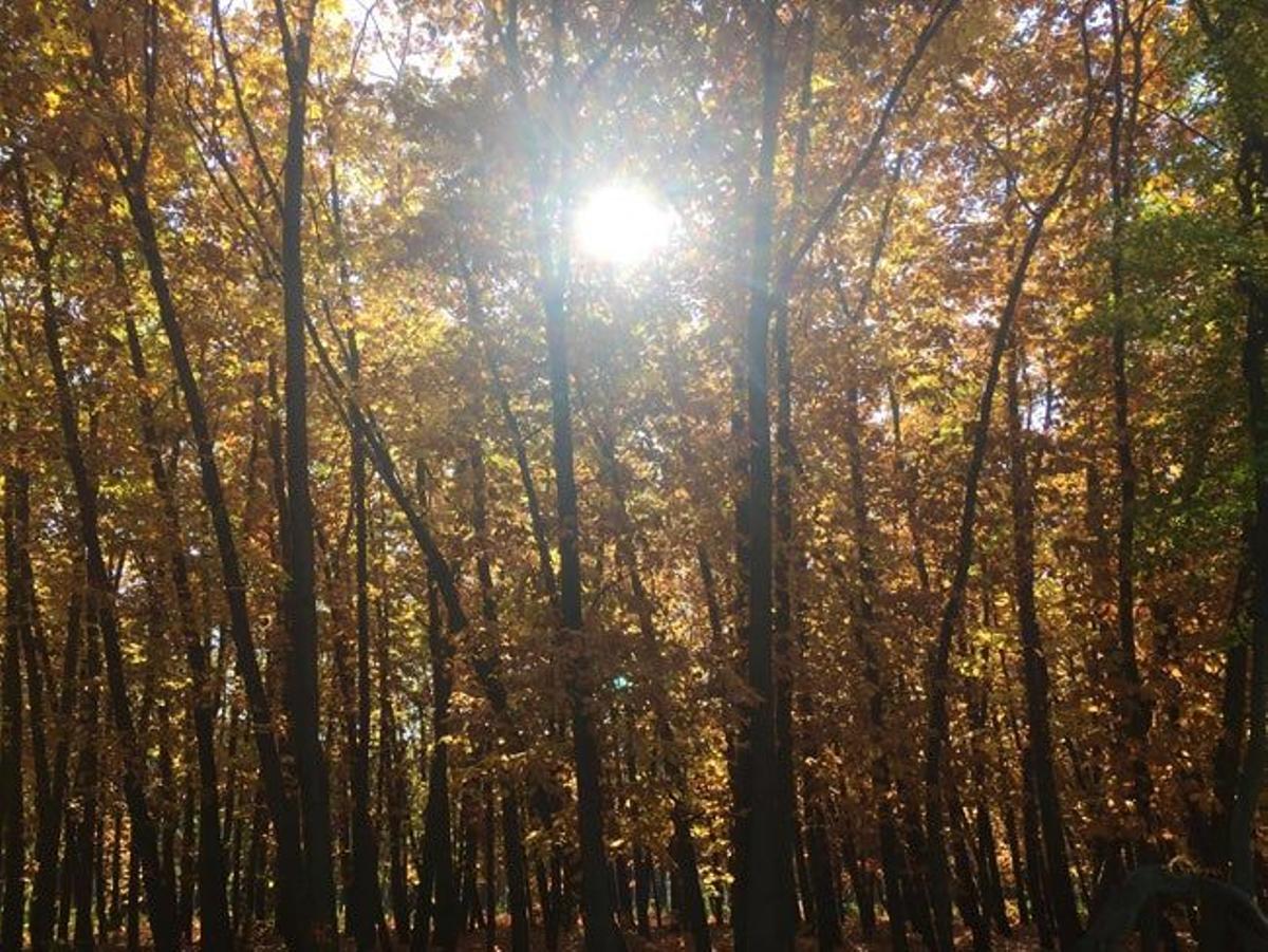 Parque del Oeste de Sofía, Bulgaria