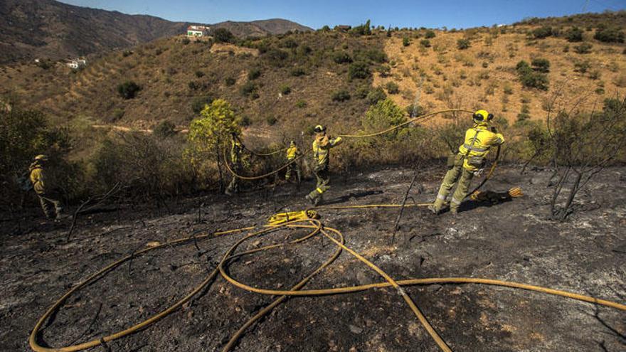 Un tercio de las denuncias tienen su causa en incendios forestales.
