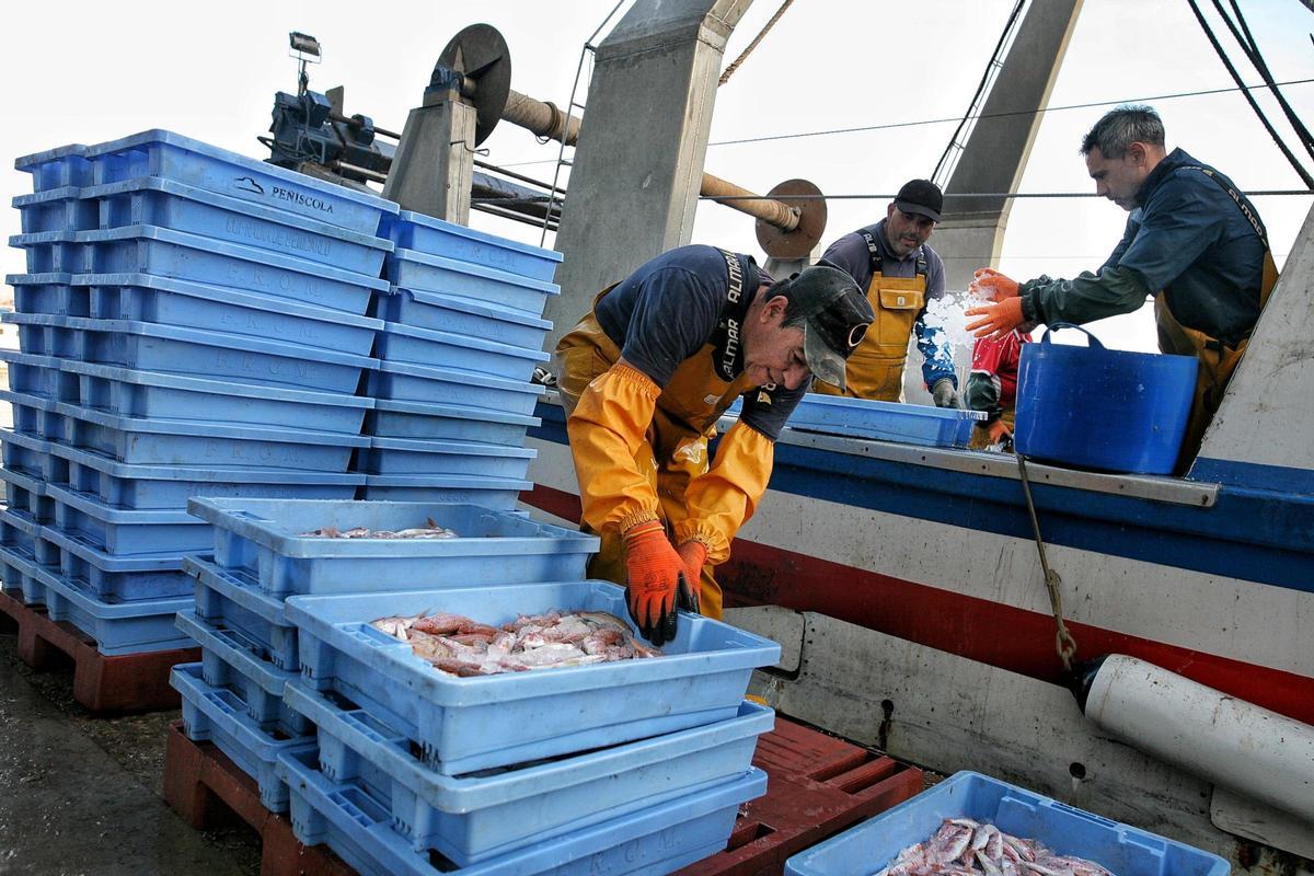Pescadores de arrastre en el Puerto de Castelló.