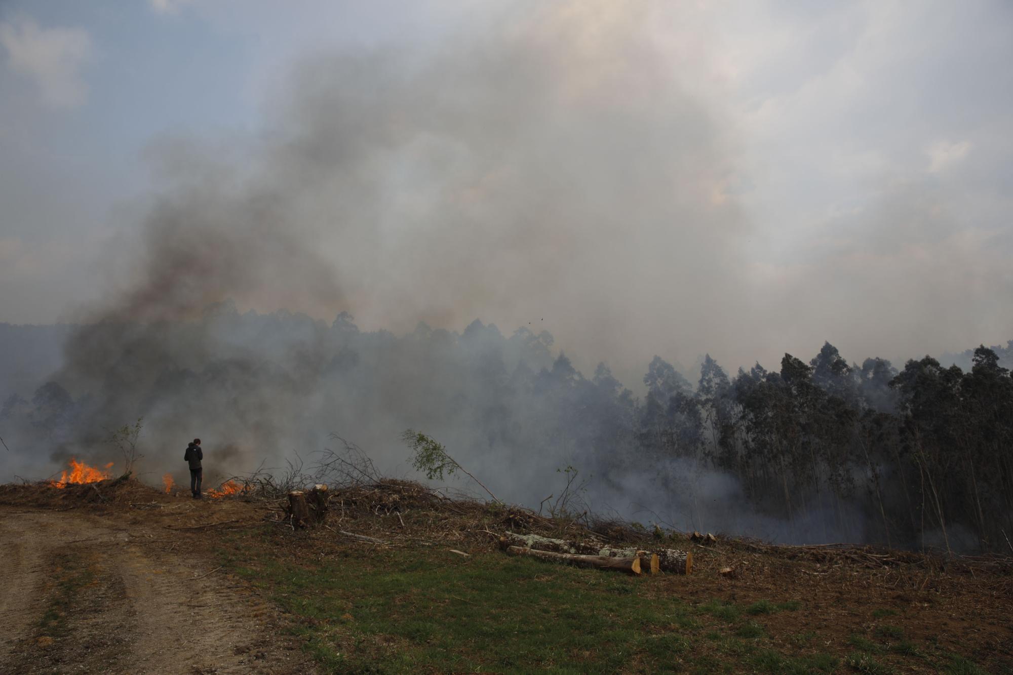 Incendio en la zona de San Pelayo de Tehona, en Valdés