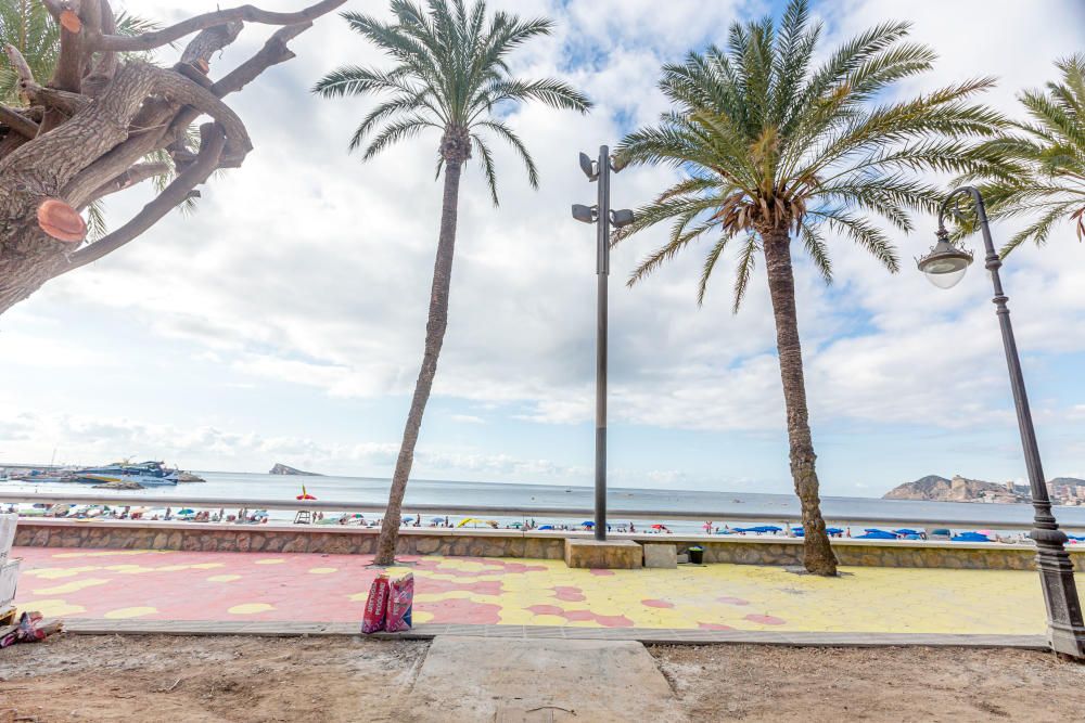 Benidorm trabaja para reabrir el parque de Elche