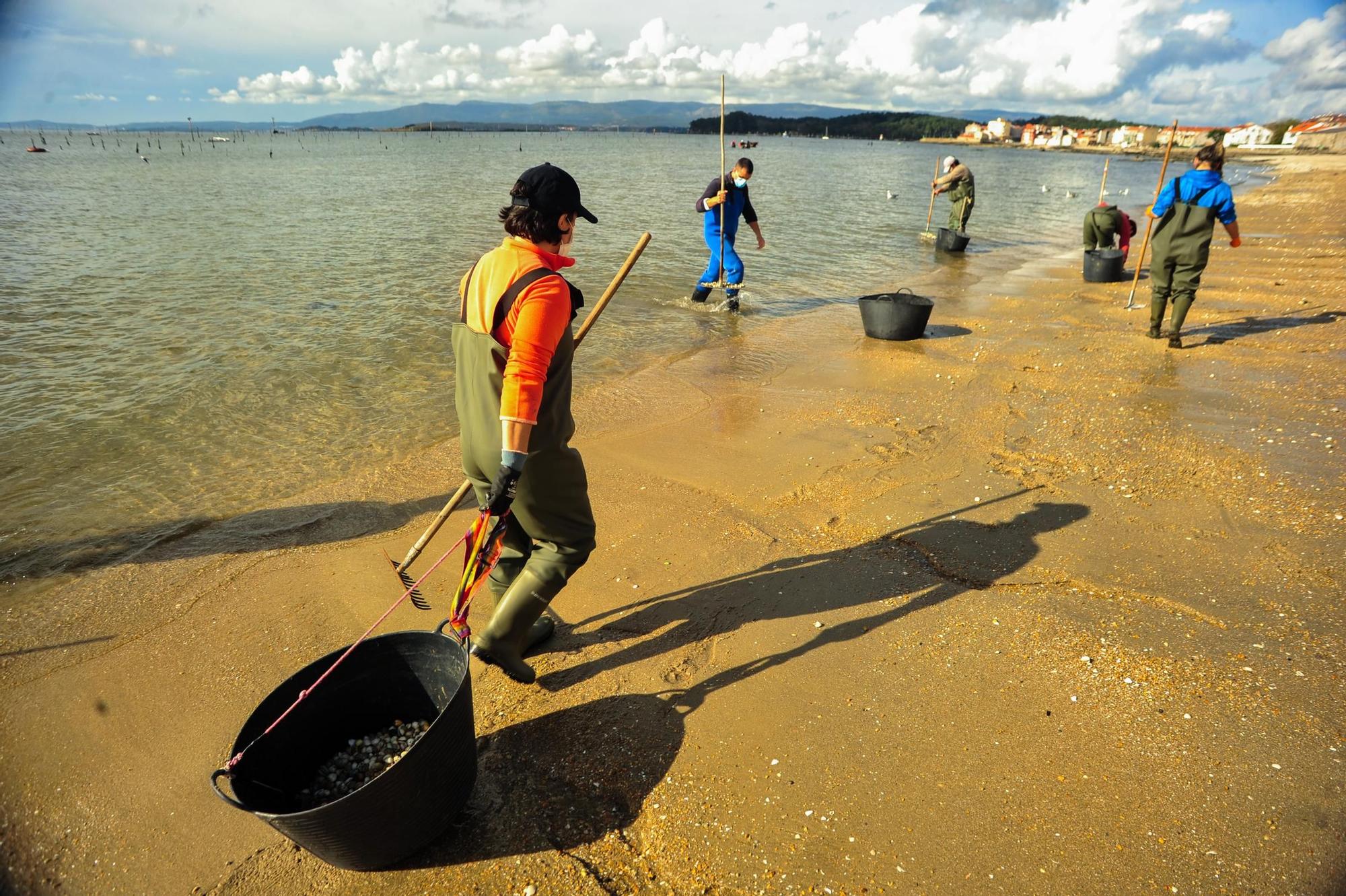 Las mariscadoras de Carril, al rescate de bivalvos en la playa de Compostela