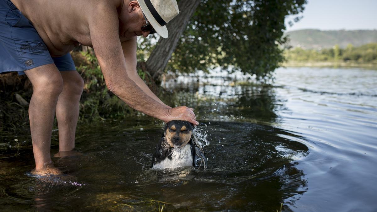 El río en Ourense es un alivio en los días de calor extremo.