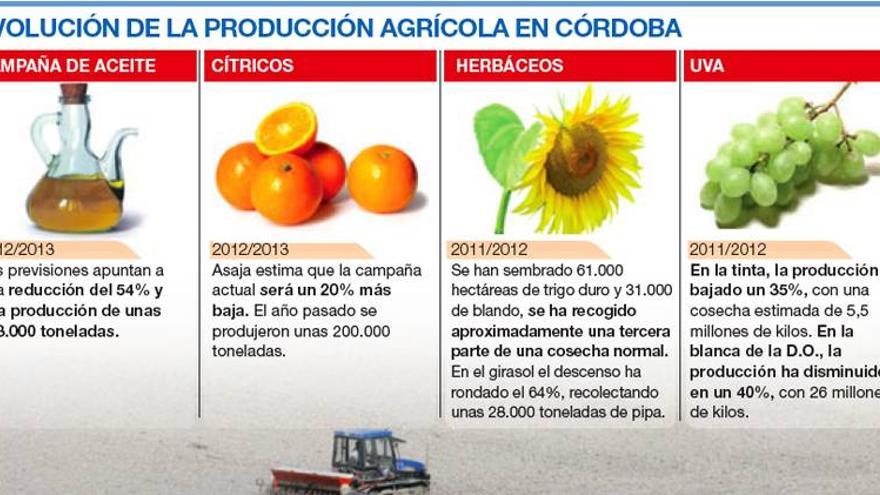 Córdoba registra una bajada del 49% en la producción agrícola