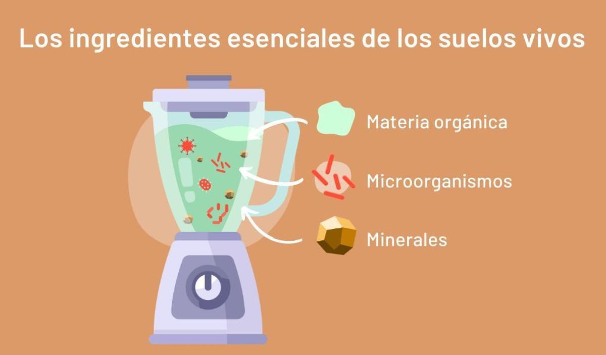 Ingredientes para un suelo sano