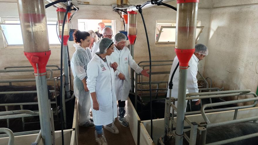 El Gobierno regional incrementa en 2025 las ayudas para preservar y fomentar las razas ganaderas autóctonas