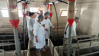 El Gobierno regional incrementa en 2025 las ayudas para preservar y fomentar las razas ganaderas autóctonas