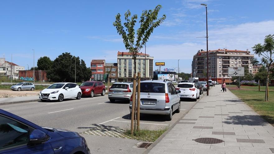 Plantan 29 árbores nas rúas de Carballo para mitigar os efectos do cambio climático