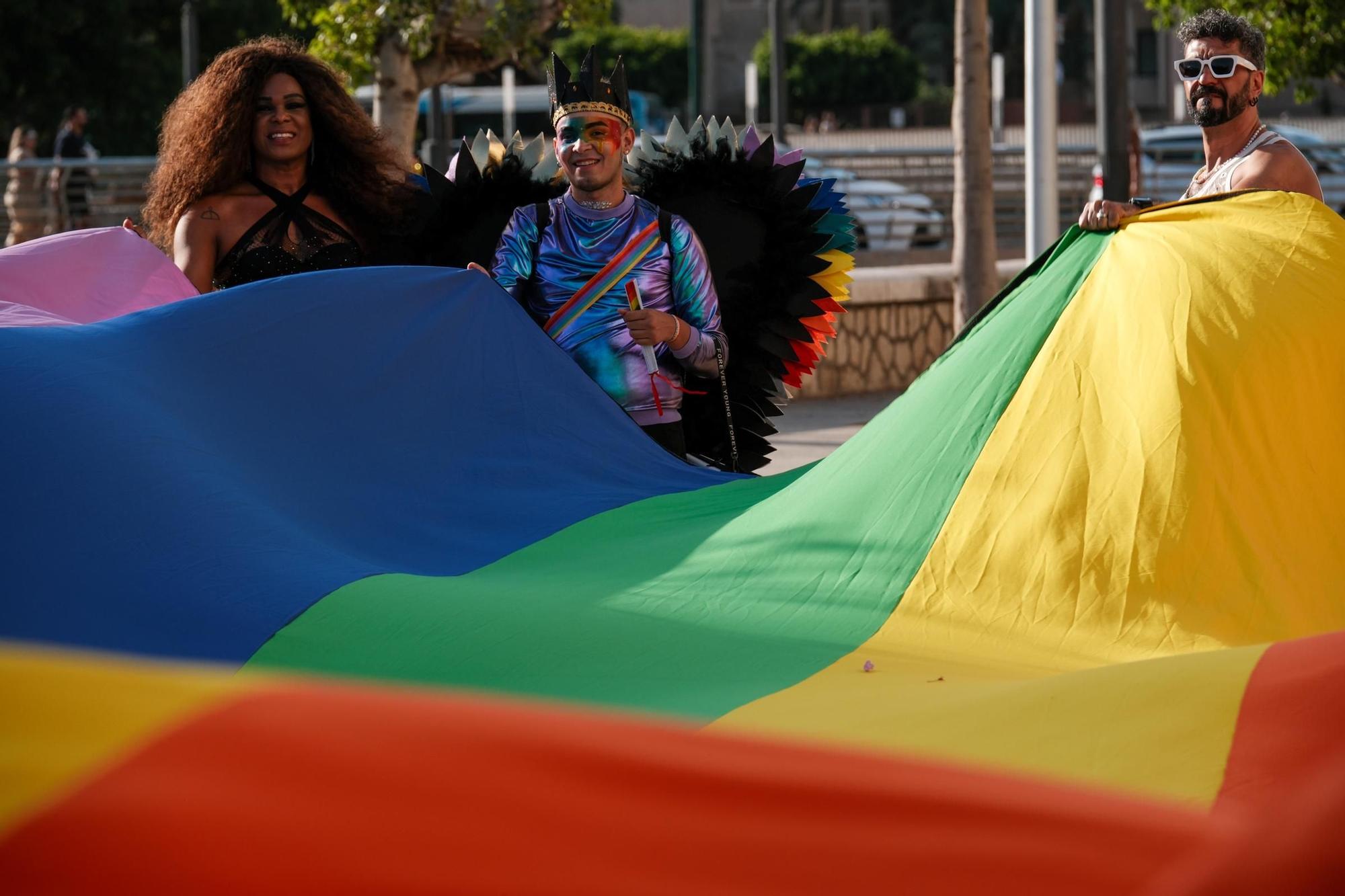 La marcha por el Día del Orgullo de Málaga 2024, en imágenes