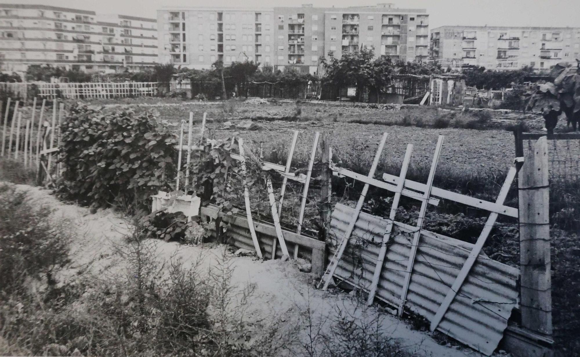 La Valencia desaparecida: Todo esto antes era huerta