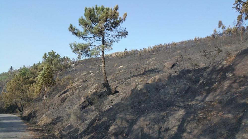 Un incendio forestal avanza sin control en el Monte da Pena, en Rianxo