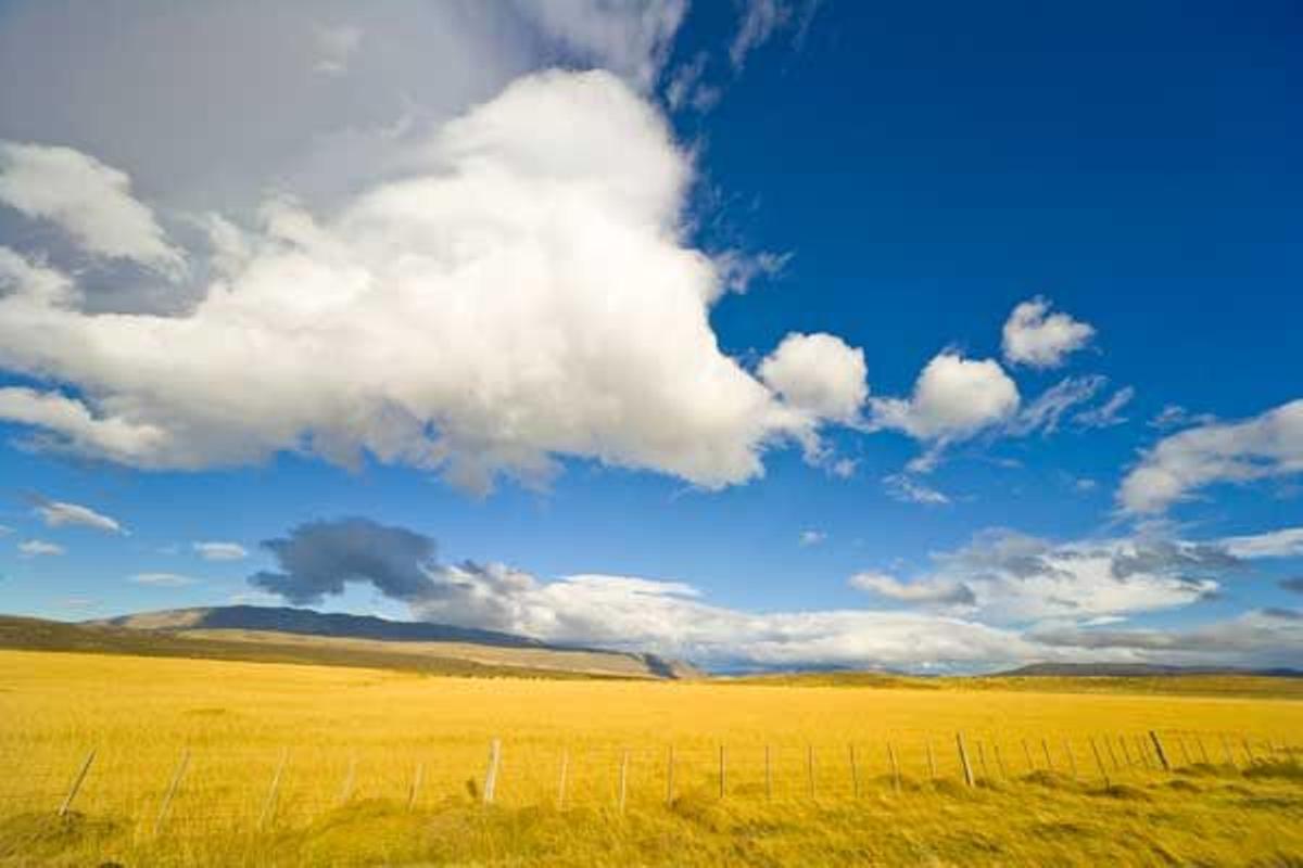 Planicie costera de la Patagonia chilena.