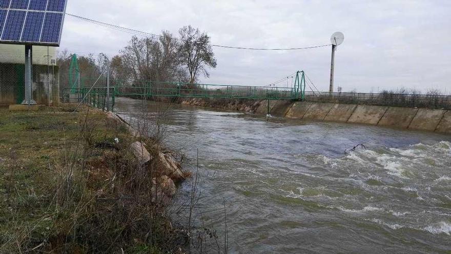 El río Eria a su paso por la estación de aforo de Morales del Rey.