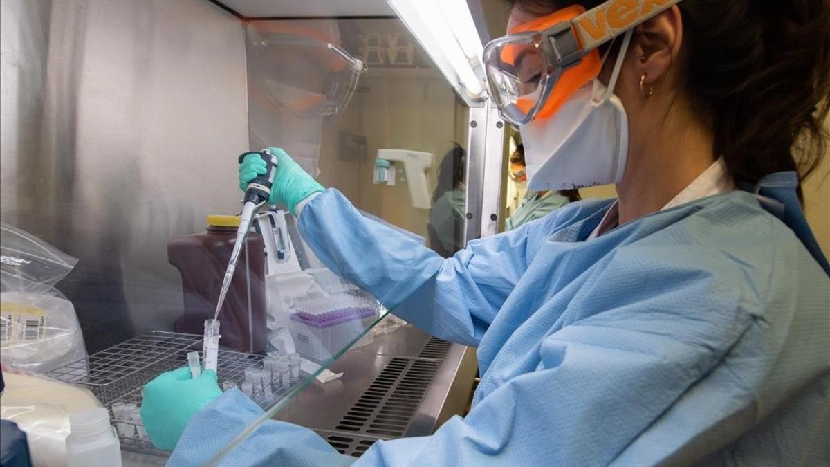 Pruebas de coronavirus en el laboratorio del Hospital Clínic de Barcelona