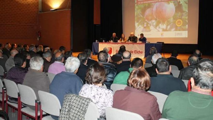 Las granadas, otro «salvavidas» para el campo