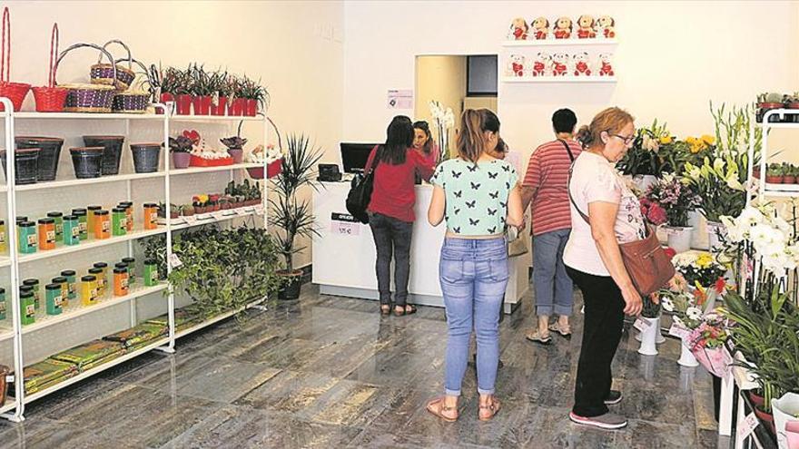 Una floristería innovadora en Peñíscola