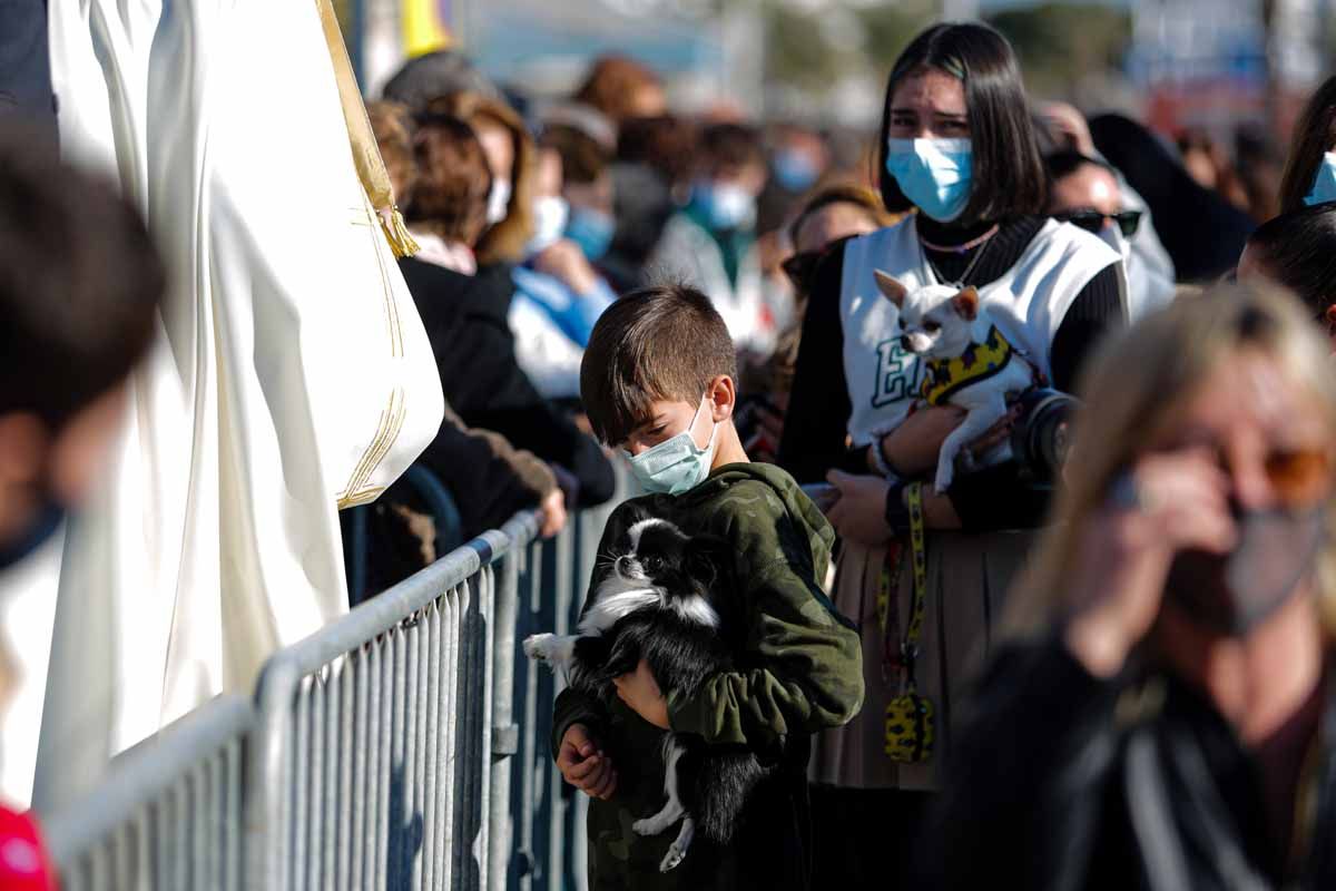 Bendición de animales en Sant Antoni