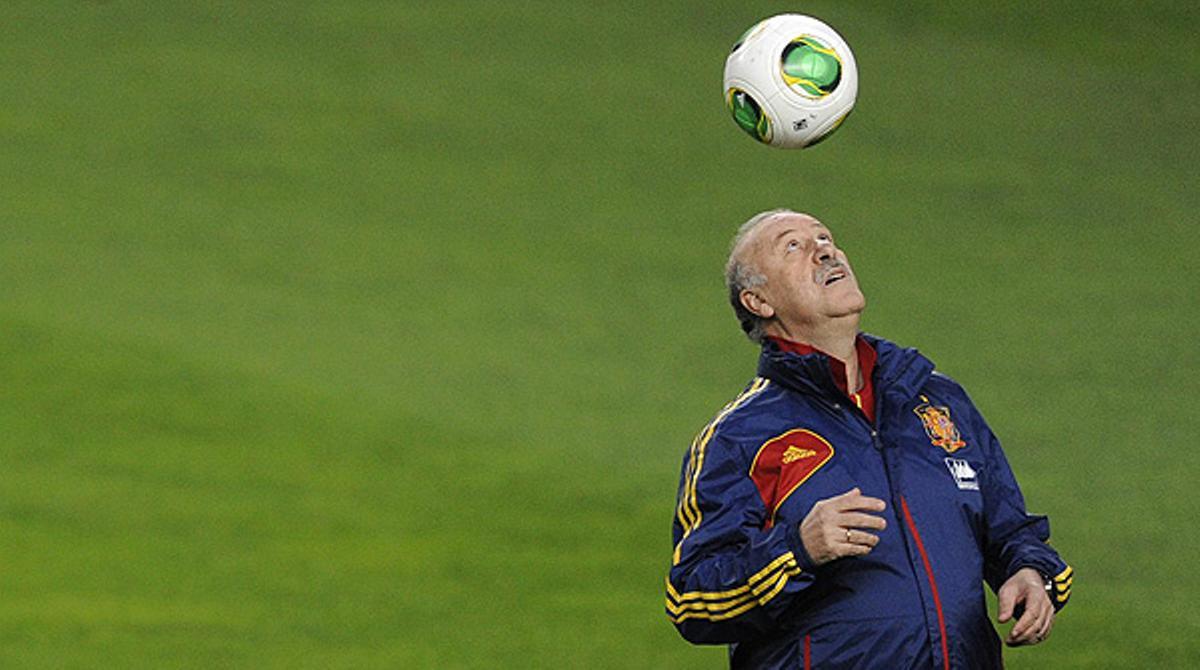 El seleccionador espanyol admet que és impossible convocar tots els jugadors que han fet mèrits.