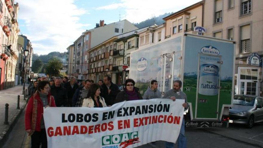 Los manifestantes, por el centro de Vegadeo.