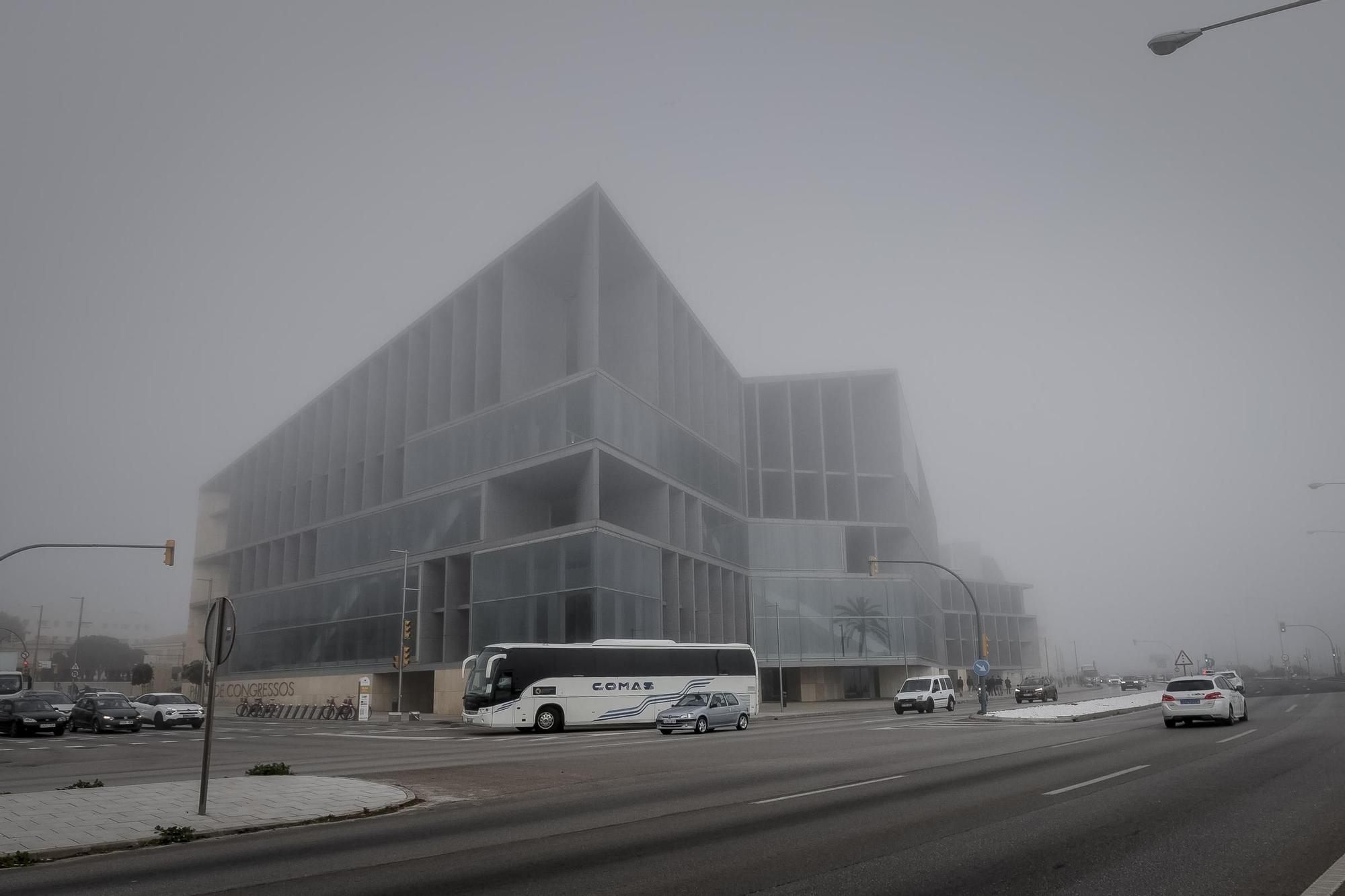 Niebla en Mallorca en pleno invierno