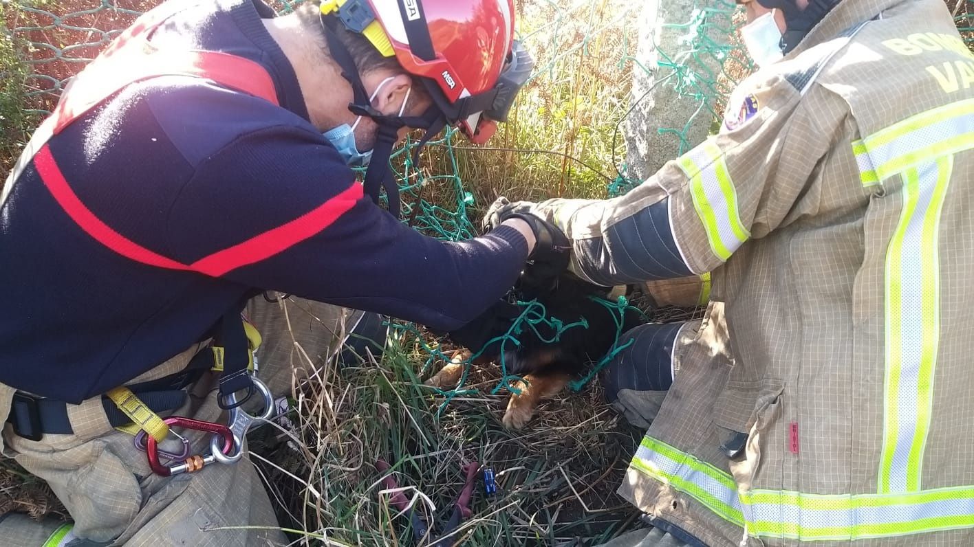 Rescatan a un perro atrapado en una red pesquera en Gondomar