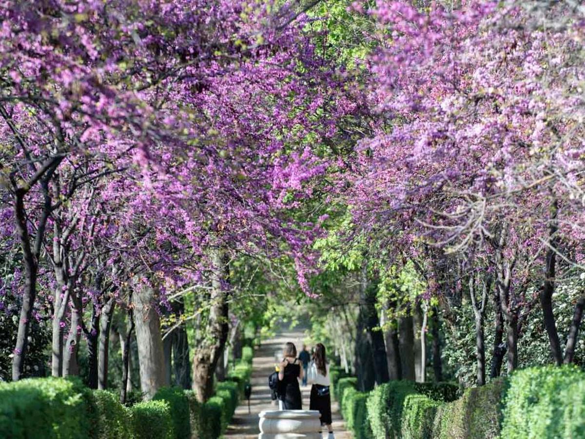 El Jardín de los Planteles y de las Tres Plazas es especialmente recomendable durante los meses más caluroso