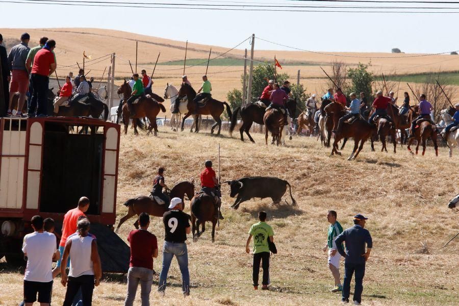 Encierro Guarrate