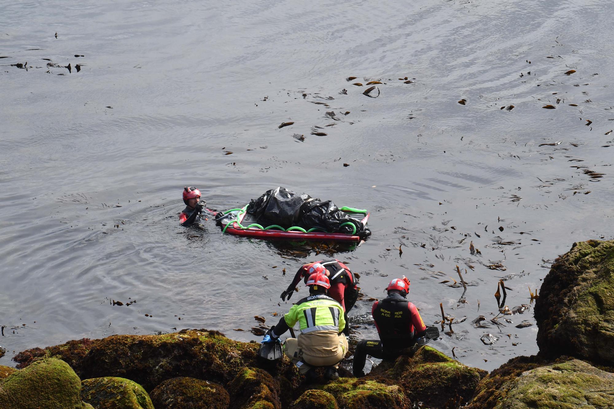 Retirado el cadáver de un delfín varado cerca del Milenium